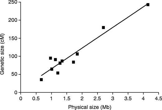  A comparison of the physical lengths of each chromosome versus the relative sizes of the corresponding linkage groups. The line shown was determined by linear least squares regression analysis, R2 = 0.92. 