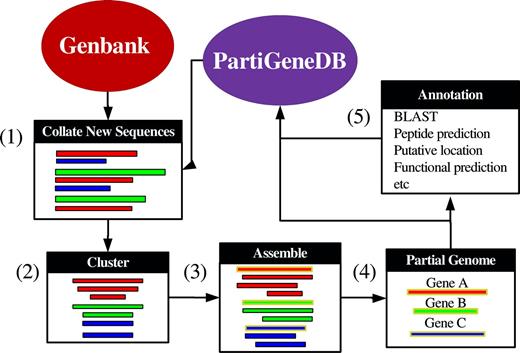Schematic representation of the process used to build PartiGeneDB (for further details see text).