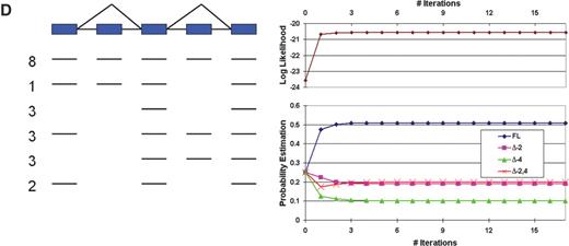  Probabilistic isoform reconstruction for a simulated gene. Left panel: sequence observations; right panel: results of probabilistic isoform reconstruction. The upper graph indicates the overall log likelihood; the lower graph shows the estimated probabilities for individual isoforms until convergence. A – D represents different situations of sequence observations. 