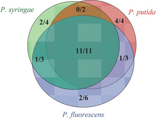 Venn diagram showing the number of novel sRNAs confirmed per the number of novel sRNAs predicted based on conservation between P.aeruginosa and the three BLAST partner species used for comparison.