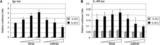 RHA enhances STAT6-dependent transcriptional activation HeLa cells were transfected with either Igε- (A) or IL-4R-luciferase reporter (B), β-galactosidase, STAT6 and increasing amounts of either RHA or ATP-binding mutant RHA (mRHA). Twenty-four hours after transfection cells were starved and either stimulated with IL-4 or left untreated. Cells were lysed 48 h after transfection and luciferase expression was determined. The results were normalized against β-galactosidase activity of the lysates.