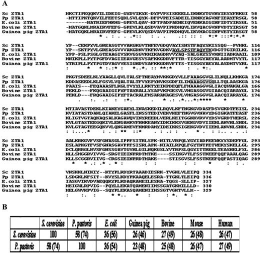 Comparison of amino acid sequences of ZTA1 from different species. (A) Multiple sequence alignment of yeast, E.coli and mammalian ZTA1. The amino acid sequence of the P.pastoris trypic peptide is underlined. The conserved nucleotide-binding motif is boxed. (B) Percent identity and homology (parantheses) among various ZTA1.