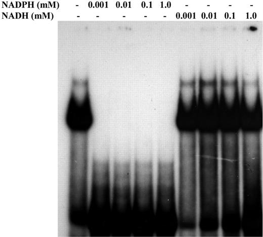 Effect of NADPH and NADH on the SSB activity of recombinant PpZTA1. 5′ End-labelled 229 probe was used.