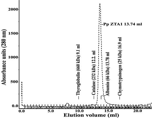 Gel filtration chromatography of recombinant PpZTA1. The 37 KDa PpZTA1 co-elutes with albumin indicating that it exists as a dimer in solution.