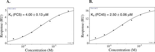 Equilibrium codeine-binding curves of (A) FC5 and (B) FC45.