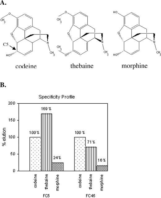 The FC5 and FC45 aptamers exhibit differing specificities to BIA structural analogues. (A) Structures of the three BIA molecules, codeine, thebaine and morphine, used in examining aptamer specificity. (B) Specificity elution profiles of the FC5 and FC45 aptamers. Radiolabeled aptamers were incubated with a codeine-modified Sepharose matrix. The bound aptamers were subsequently eluted with the different BIA targets and radioactivity levels in the eluted fractions were measured. Radioactivity levels were normalized with respect to values obtained from the codeine elutions for each aptamer.
