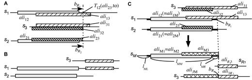 Detail of the domain-splitting procedure. Here, s1 and s2 are the sequences to be merged, and s3 is a sequence similar to either s1 or s2 . The aligned segments on each sequence are indicated by rectangles which have the same pattern for corresponding segments. ( A ) Condition I: the domain boundaries will be extended. ( B ) Condition II: the sequence (in this case, s1 ) will be split. ( C ) Updating the alignment information. In this example, s1 and s2 (upper half) are merged and split into sM and s R 1 (lower half). The thick lines indicate the extended regions. See text for details.