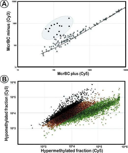 Selective enrichment of restriction fragments with the universal adaptor U-CG1. ( A ) Scatter plot that shows a comparison of ligation products treated with McrBC versus the untreated sample on the COMT array. McrBC treated fragments that contained at least two methylated cytosines were cleaved and could not be amplified in the following adaptor-PCR, resulting in reduced signal intensities in the Cy5 channel. ( B ) Co-hybridization of enriched unmethylated ( Figure 1 , middle panel) and hypermethylated ( Figure 1 , right panel) fragments derived from the same DNA source to a CpG island microarray. A large portion of amplicons is present only in one of the enriched fractions (marked black for log >0.3 black, green for log <−0.3). Although the hypermethylated fraction hybridized to ∼75% of the microarray spots, based on our DNA sequence analysis, only a small fraction of them provide epigenetic information in comparison with the unmethylated fraction.