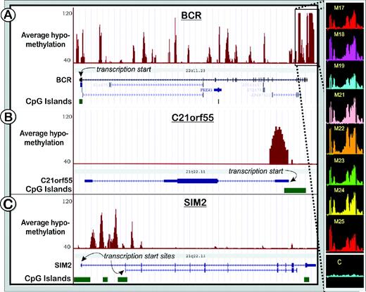 Profiles of unmethylated sites in three loci on human chromosomes 21 and 22 (501 bp window, Materials and Methods): BCR ( A ), C21ORF55 ( B ) and SIM2 ( C ) for human brain DNA (average of eight individuals, M17-M25). The graphs are based on P -values for each individual interrogation that show the significance of the enrichment in the unmethylated fraction versus total gDNA. The P -values were converted to the (−10 log 10 ) scale, such that, for example, P -value of 10 −4 becomes 40. The vertical axes are adjusted to represent probes in the 40–120 range ( P -values of 10 −4 –10 −12 ), thus only probes that pass P < 10 −4 threshold are shown. Enlarged is a part of the chr 22q11.21 region (181 bp window), spanning breakpoints found in the generation of the two alternative forms of the Philadelphia chromosome translocation. C = gDNA control.