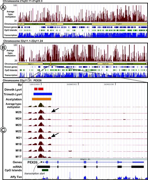 Genomic views showing unmethylated regions on chromosomes 21 and 22. ( A and B ): The top tracks (dark red) in the two chromosomal graphs shows the average amount of hypomethylation in the brain cortex of eight adult individuals. Also displayed are known genes (dark blue) and CpG islands (green). The bottom tracks display transcriptome data derived from 11 different tissues from the Affymetrix transcriptome phase 2 study ( 36 ). The track is coloured blue in areas that are thought to be transcribed at a statistically significant level. Regions that have a significant homology to other chromosomal regions or that overlap putative pseudogenes are coloured in lighter shades of blue. All other regions of the track are colored brown. ( C ) Enlarged is a part of chromosome 22q11.21, containing the peroxisome biogenesis factor 26 ( PEX26 , MIM 608666) that shows correlation between histone modifications and unmethylated DNA in its promoter region. The top three tracks represent histone modification data for H3 Lys4 dimethylation (orange bar), H3 Lys4 trimethylation (blue bar) and H3 Lys9/14 acetylation (yellow bar) ( 37 ). Underneath are the tracks for the average methylation patterns (unmethylated sites) observed in brain and the individual methylation patterns of all tested individuals (dark red). It is noteworthy that methylation patterns exhibit some interindividual differences (indicated by arrows).