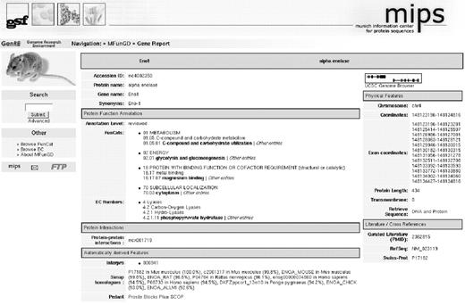 Screenshot of the MfunGD entry for the enzyme alpha enolase.
