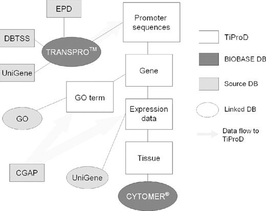 Data flow and schema of the TiProD database. Indicated are the main tables of the database (open rectangles), the used source databases (shaded ovals and rectangles), as well as the links between them (straight lines) and the data flow to TiProD (light gray arrows).