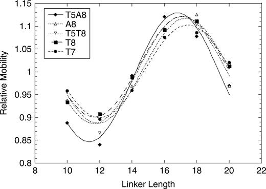 Phasing analysis of yTBPc-induced TATA-box bending. Shown are the relative mobilities of the bound DNA divided by the relative mobilities of the free DNA as a function of the linker length. The values shown are of one representative experiment (of 3–4 independent experiments). The line is from the best fit to a cosine function (44).