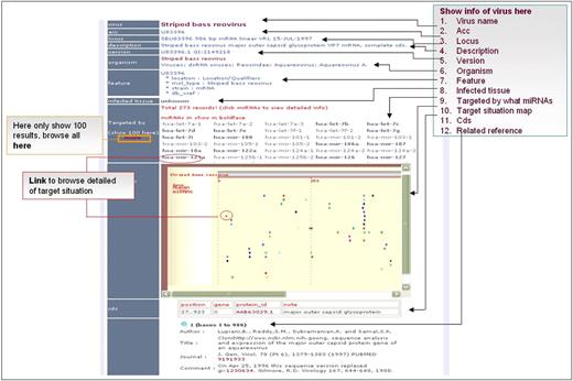 Interface of putative targeted viruses in ViTa.
