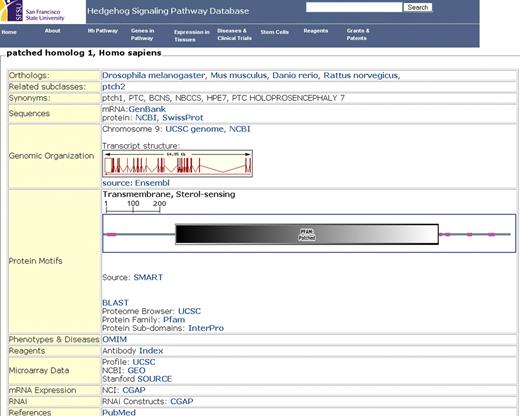 Gene summary page for Patched 1.