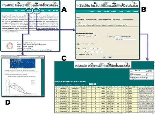 Screen shots of (A) InSatDb homepage, (B) multi-option query sheet, (C) output table and (D) analysis page.