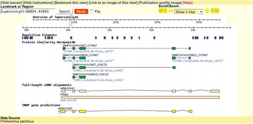 Graphical display of Pristionchus genome annotation. We employ the highly customizable Generic Genome Browser framework for viewing, analyzing and exporting local sequence annotation.