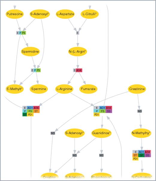 The visualization of metabolic pathways from KEGG in SYSTOMONAS is based on GraphViz using the dot layout. All known metabolic reactions are depicted here for the ‘Urea cycle and metabolism of amino groups’ pathway. Rectangles depict metabolic reactions, ellipses represent metabolites whose names are abbreviated with an asterisk * when the length exceeds 10 letters. Both types of nodes are clickable. Different colours for rectangles specify distinct Pseudomonas species, which catalyse the corresponding reaction. These pathways can be obtained from metabolic pathway entries. An abbreviation code for the species is provided with the visualization output (AO1 = P.aeruginosa PAO1, A14 = P.aeruginosa PA14, P = P.putida KT2440, Pf-5 = P.fluorescens F5, F01 = P.fluorescens PfO-1, ST = P.syringae pv tomato, SP = P.syringae pv phaseolicola, SS = P.syringae pv syringae)