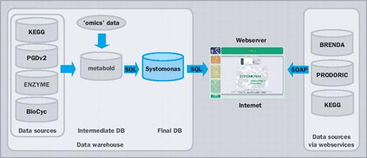 SYSTOMONAS architecture: combining the data warehouse concept and web services to provide a quick and dynamically updated data integration.