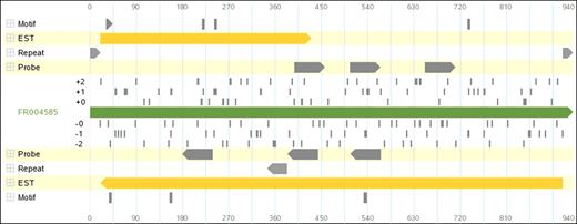 mRNA view of a transcript. Regulatory elements, EST positions, splice positions, repeat elements, six frame stop codons are visualized along with the full span of a cDNA.
