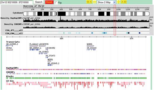 An example of the D-HaploDB web page. The region from 95 to 97 Mb of human chromosome 12 is shown.