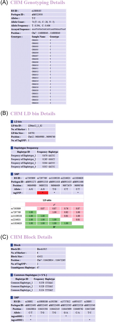 Reports exported from D-HaploDB. CHM genotyping detail report (A), LD bin detail report (B) and block detail report (C) are shown. The asterisks indicate the tagSNPs. The best-tagSNPs are highlighted in red.