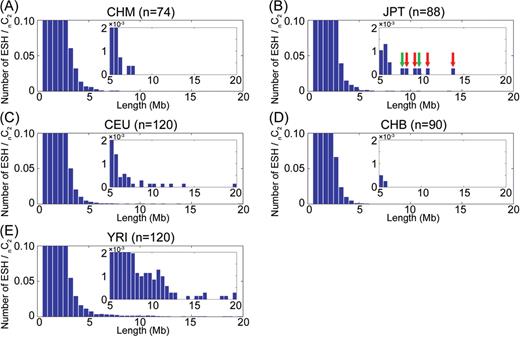 The length distribution of the ESHs. The number of ESHs, normalized by the number of combinations of chromosomes, in the populations of CHM (A), JPT (B), CEU (C), CHB (D) and YRI (E) are shown. ESHs longer than 500 kb were counted. The SNP intervals longer than 100 kb were treated as breaks in the ESHs. It is noteworthy that unusually long haplotypes were observed in the JPT samples, while no such long ESHs were detected in the CHM samples. The long ESHs originating from the same individuals in JPT are indicated by the green and red arrows.