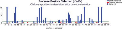 The interface to the positive selection mutation database is a clickable imagemap. Clicking on any codon position performs a query and returns the results in an easy-to-read format. (Specialty dataset is shown.)
