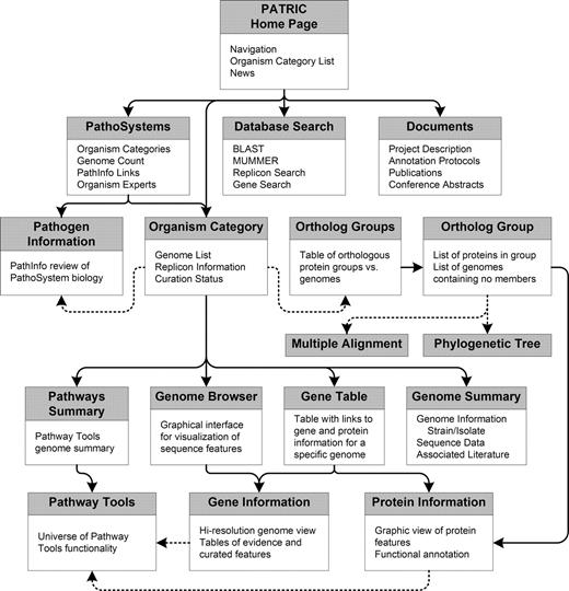 Conceptual map of PATRIC website. Arrows show the relationship between the principal datatype on a page and related data on neighboring pages. Solid arrows represent ‘drilling down’ to more specific information (e.g. from genome to gene). Dashed arrows represent links between different views of conceptually similar data (e.g. between ortholog group and phylogenetic tree). This figure represents only a subset of the pages and links on the actual website.