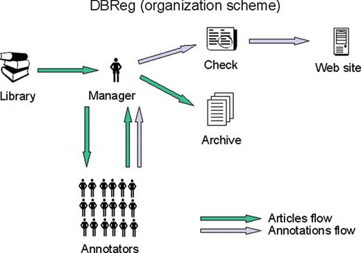 The information flow of articles and annotations is shown. A manager obtains articles from a library and works with annotators in creating annotations from those articles. The annotations undergo a quality check and are then placed on the website.