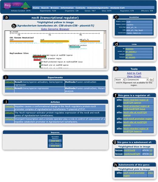 A screen shot of the gene detail page. Shown on this page are (a) the name of the gene, (b) the genome and an overview of the genomic region. The current feature is highlighted yellow, subelements are highlighted pink, parent elements are highlighted blue. (c) annotation of this feature (imported from NCBI), (d) external links for this feature, (e) various analysis tools. (f) information pertaining to sites that the product of this gene regulates (g) parent elements of this feature, (h) subelements of this feature, (i) a listing of the experiments in which this feature is involved in. You may mouse over the details link to see a description of the experiment, while clicking on the link will take you to a more detailed explanation of the experiment. (j) A listing of the articles in which this feature is mentioned in. You may click on the details link for a more detailed explanation of this article.