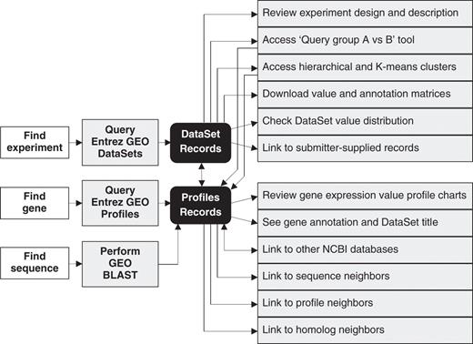 A schematic overview of query workflow, and how various features and tools are interlinked. A description of the location and purpose of these features is provided in Table 1.