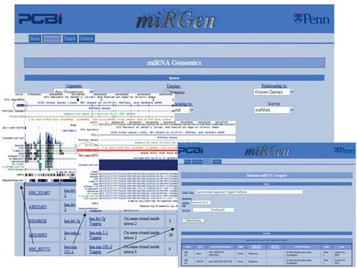 miRGen Genomics interface links to the UCSC genome browser and to the miRGen Targets interface Links to the UCSC genome browser for each miRNA and gene provide graphical views. Links to the miRGen Targets interface provide tabular views of predicted or experimentally supported targets.