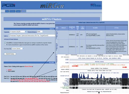 miRGen Clusters Interface Users can choose which interface that the clusters should link to. The figure above shows links to the ‘Predicted Targets Optimized Intersection (PicTar, TargetScanS)’ target set and to the UCSC view for a particular cluster.