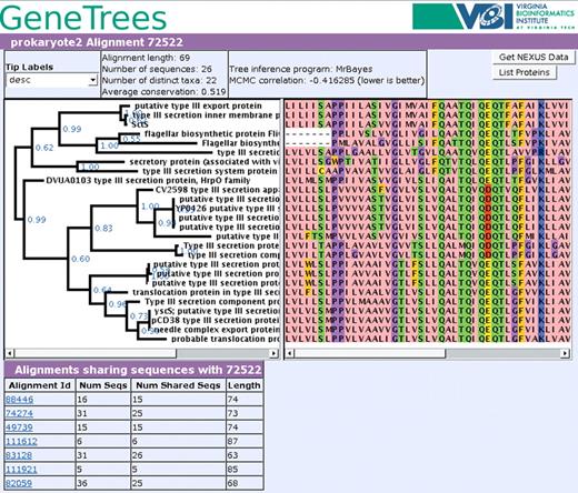 An example of the central tree plus alignment visualization from GeneTrees. This alignment describes type III secretion proteins from a variety of bacteria.