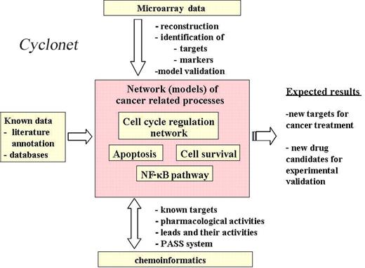 Diagrams and models of carcinogenesis related processes as the basis for information integration in the Cyclonet database.