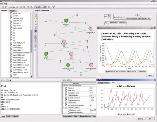 An example of cell cycle model visualization and simulation by the BioUML workbench (the diagram DGR0068a of the Cyclonet database).
