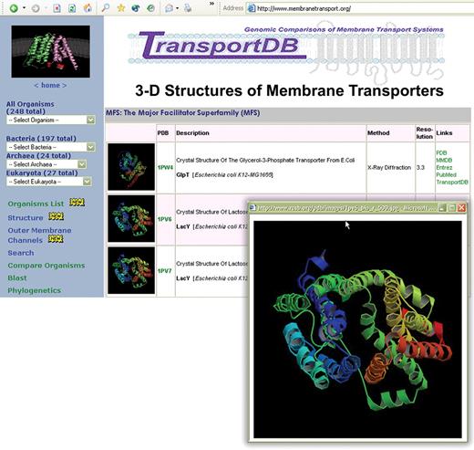 Graphic illustrations of the TransportDB web interface describing 3D structures of membrane transporters. These structures are listed in a tabular format and arranged by transporter families. Information on structure description, method and resolution are included. Cross-referenced links to PDB, PDB_TM, MMDB, Entrez Gene and PubMed are also provided.