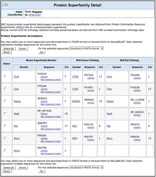 Protein Superfamily: MGI Pepsin superfamily page showing mouse superfamily members with associated UniProt protein links and orthologs of each gene member in human and rat. Protein sequences from this page may be downloaded in FASTA format or forwarded to the MouseBLAST tool.