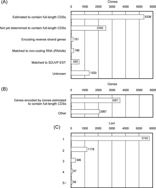 (A and B) Results of BLAST similarity searches of fully sequenced cDNA clones against translated RefSeq sequences. (A) A group of 7876 clones shows high similarity (BLAST score >50) to corresponding sequences in the human, mouse, dog, cattle or pig RefSeq and 5336 of the 7876 clones were estimated to contain full-length CDSs. Non-coding RNA sequences were derived from sequences stored in RNAdb (11). SDJVP: EST sequences performed by Sino–Danish Joint Venture Project. (B) The pig cDNA clones estimated to encode full-length CDSs correspond to 3587 human, mouse, dog or cattle genes or already-known pig genes. This decreased number of corresponding genes compared with the estimated number of full-length encoding clones in (A) likely reflects alternative splicing. (C) Transcripts estimated to be ‘alternative transcripts’ among the fully sequenced cDNA clones. We estimated that the 10 147 cDNA clones represent transcripts derived from 7408 independent loci; 5745 transcripts are derived from independent loci, and 2739 cDNA clones seem to be alternative transcripts.