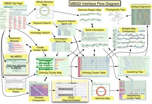 The user interface flow diagram of MBGD. The arrows represent possible transitions between pages. The new functionalities, My MBGD and CGAT AlignmentViewer, are highlighted.