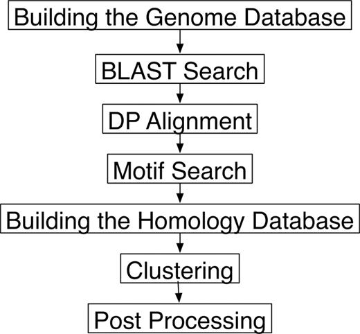 The protocol for database construction in MBGD.