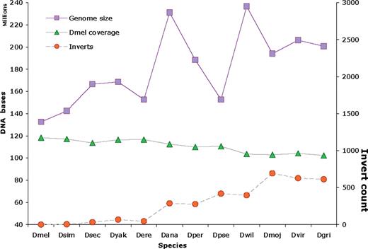 Drosophila species assemblies, showing assembly sizes and coverage of these by D.melanogaster genome DNA (top and middle lines, in megabases, left ordinate), and counts of chromosome segments inverted relative to Dmel (bottom line, right ordinate). Species on abscissa are taxonomically ordered with Dgri most distant from Dmel. This is summarized from .