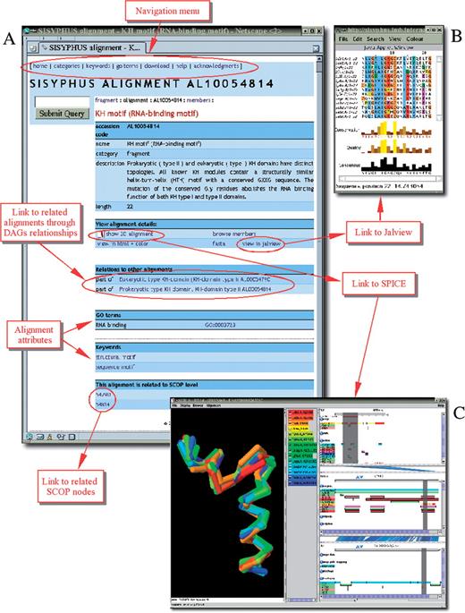 SISYPHUS web-interface. (A) Example of a query result using alignment accession code AL10054814. The output page lists the compiled information for the alignment and provides links to other related alignments through DAG relationships, related SCOP nodes and alignments with common attributes (keywords, GO terms). (B) Visualization of the structure-based sequence alignment in Jalview. (C) Visualization in 3D using SPICE. The left panel shows the alignment in a default mode showing the superimposed structures of the aligned regions only. The middle panel lists the PDB codes and the start and end positions of the structurally equivalent regions. SPICE also provides annotations for PDB, UniProt and Ensembl peptides (right panel). The gray strip indicates the location of the alignment region in the PDB, UniProt and Ensembl peptide sequence.