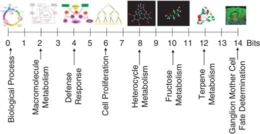 The specificity of GO terms can be captured in terms of bits of information. Heterocycle metabolism image courtesy of: Dr. Brent P. Krueger (14).