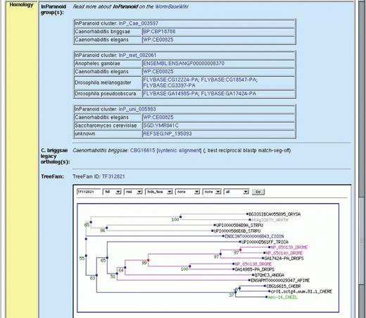 Screen shot of the Homology section of the mec-14 Gene page showing InParanoid groups, C.briggsae orthologs and a TreeFam tree.