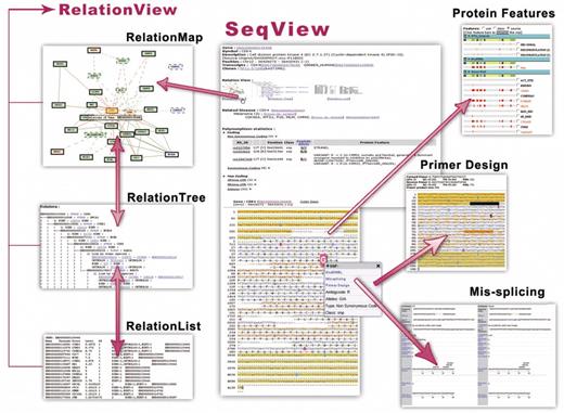 Main contents of Snap. From one central gene, SeqView and RelationView cover disease relevant aspects within the gene and within the gene's interaction network.