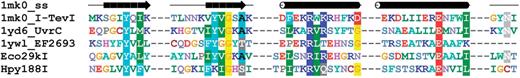 Sequence alignment of representative Type II REases from the GIY-YIG superfamily. Sequences of two REases are preceded by sequences of GIY-YIG members with solved crystal structures and with the secondary structure of I-TevI homing endonuclease (1mk0). Amino acids are colored according to physico-chemical properties of their side chains (negatively charged: red; positively charged: blue, violet; hydrophilic: gray; hydrophobic: green, magenta, yellow). Residues with more than 70% sequence conservation are shaded. Nonconserved sequence linkers between conserved blocks have been omitted for clarity.
