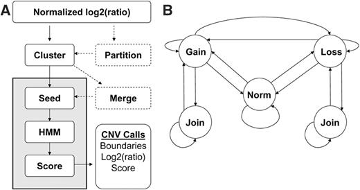  ( A ) Flow diagram of the wuHMM algorithm. Dashed processes are optional and are executed when the sequence divergence information is utilized. Processes in gray were repeated on permuted probe locations to generate null score distributions for each chromosome. ( B ) Hidden Markov Model. ‘Norm’, ‘Gain’ and ‘Loss’ indicate states representing normal, increased, and reduced DNA copy number, respectively. Not shown, but implemented, are multiple states per abnormal state that enforce a minimum number of probes per abnormal state. This minimum is automatically selected for each seeded region as described in the Methods section. Transitions are permitted between normal, increased and reduced states. A ‘Join’ state can transition to itself or back to the corresponding abnormal state. 
