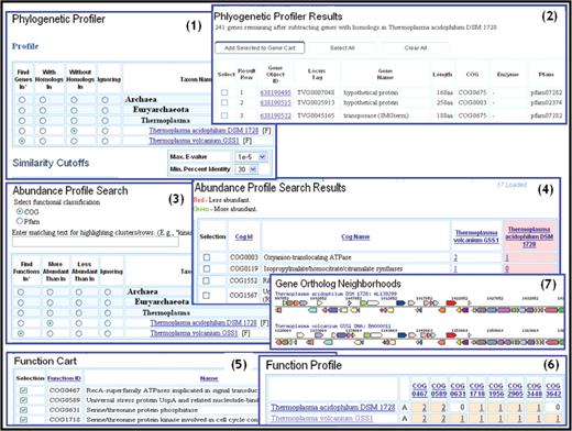 Profile search and functional profile tools. The ‘Phylogenetic Profiler’ tool is used to find genes in the archaeal genome Thermoplasma volcanium GSS1 ( T. volcanium ) that have no homologs in a phylogenetically closely related genome, Thermoplasma acidophilum DSM 1728 ( T. acidophilum ) (1). Similarity cutoffs are used to fine-tune the selection. The list of T. volcanium genes that satisfy the specified condition are provided as a list (2) from which genes can be selected and added to a Gene Cart. The ‘Abundance Profile Search’ tool is used to find COGs that are more abundant in T. volcanium than in T. acidophilum (3). The COGs that satisfy the specified condition are provided as a list (4) from which COGs can be selected and added to the Function Cart. For COGs of the ‘Signal transduction mechanisms’ in the Function Cart, the ‘Function Profile’ tool allows computing a profile across the T. volcanium and T. acidophilum genomes (5). The functional profile result is displayed as a matrix with each cell containing a link to the associated list of genes and displaying the count ( abundance ) of genes in this list. Colors are used to represent visually gene abundance, whereby white, bisque and yellow represent gene counts of 0, 1–4 and over 4, respectively (6). The T. volcanium and T. acidophilum genes associated with COG0467 are further examined with the ‘Gene Ortholog Neighborhoods’ tool (7): the compared genes are colored red, and their respective neighborhoods appear above and below a single line showing the genes reading in one direction on top and those reading in the opposite direction on the bottom; genes associated with the same color indicate association with the same COG group.